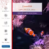 برچسب پوششی ماهوت مدل Clownfish مناسب برای تبلت سامسونگ Galaxy Tab S2 8.0 2015 T715