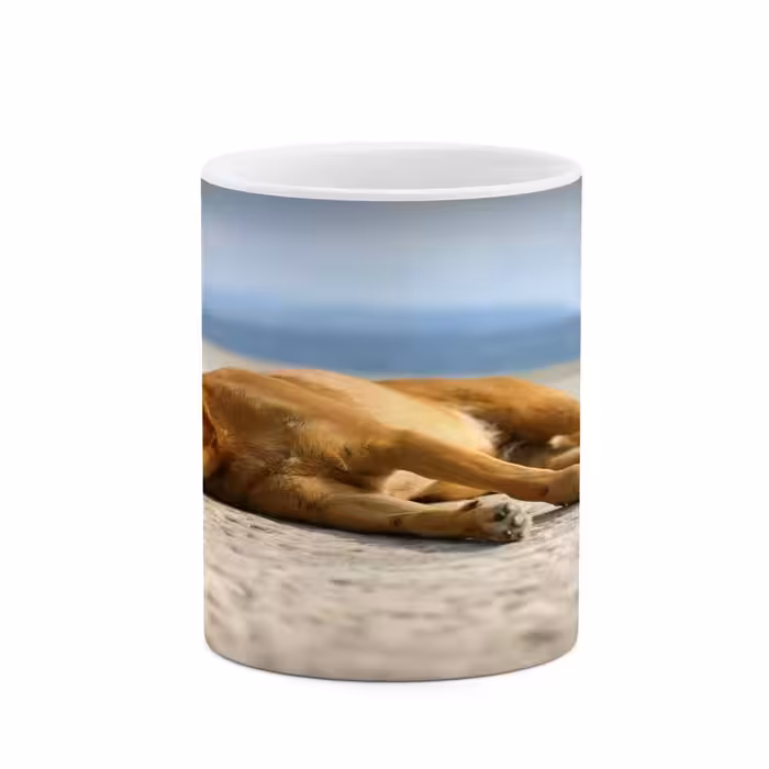 ماگ کاکتی طرح سگ مدل mgs15423