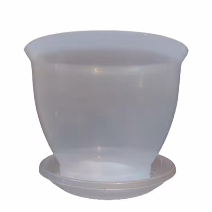 گلدان مدل شفاف اركيده