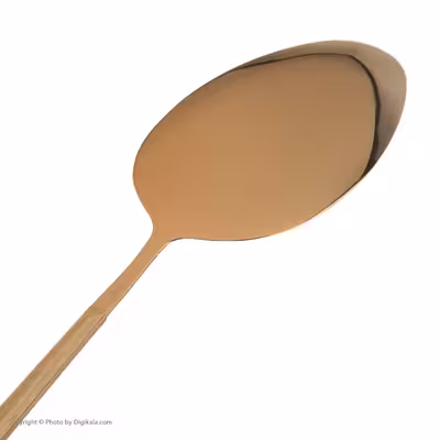 سرویس قاشق و چنگال 33 پارچه جی فی نی مدل R-W-L