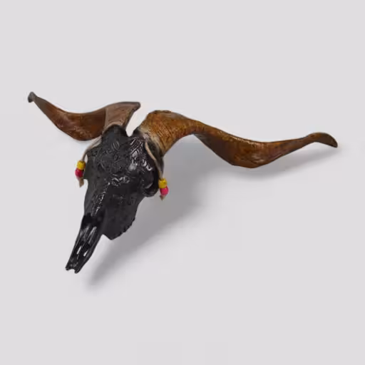 دیوارکوب طرح جمجمه قوچ کد Hzh814