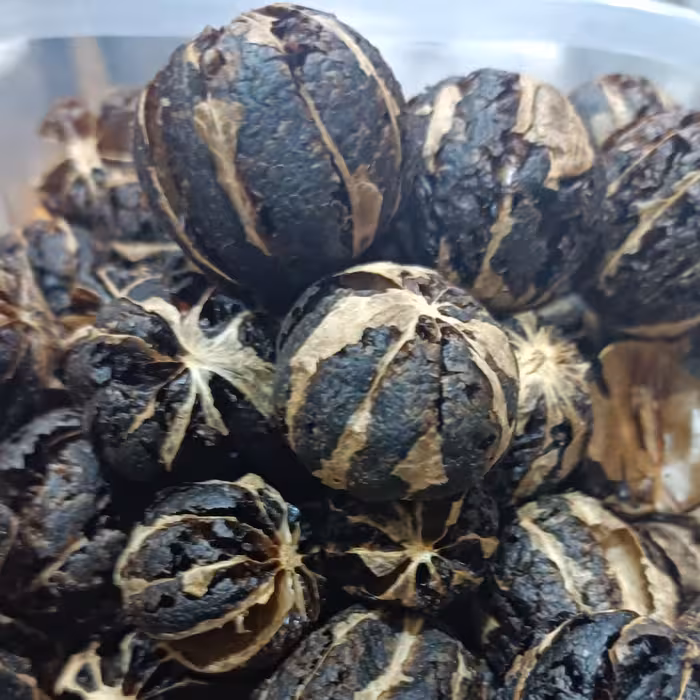 لیمو توپی بدون پوست درجه یک ایرانی 75 گرم 5 ستاره صدرا