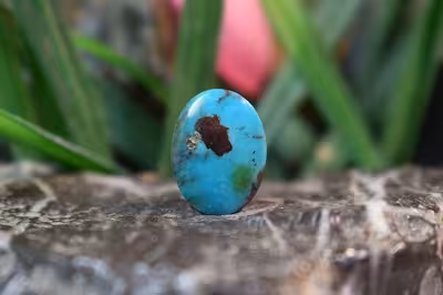 فیروزه شجری نیشابور