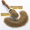 تخم کرفس