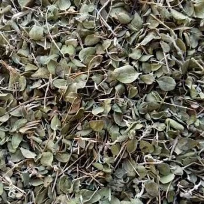 آویشن برگ پهن