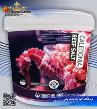 نمک ریف آب شور کالدونیا ریف لاورز