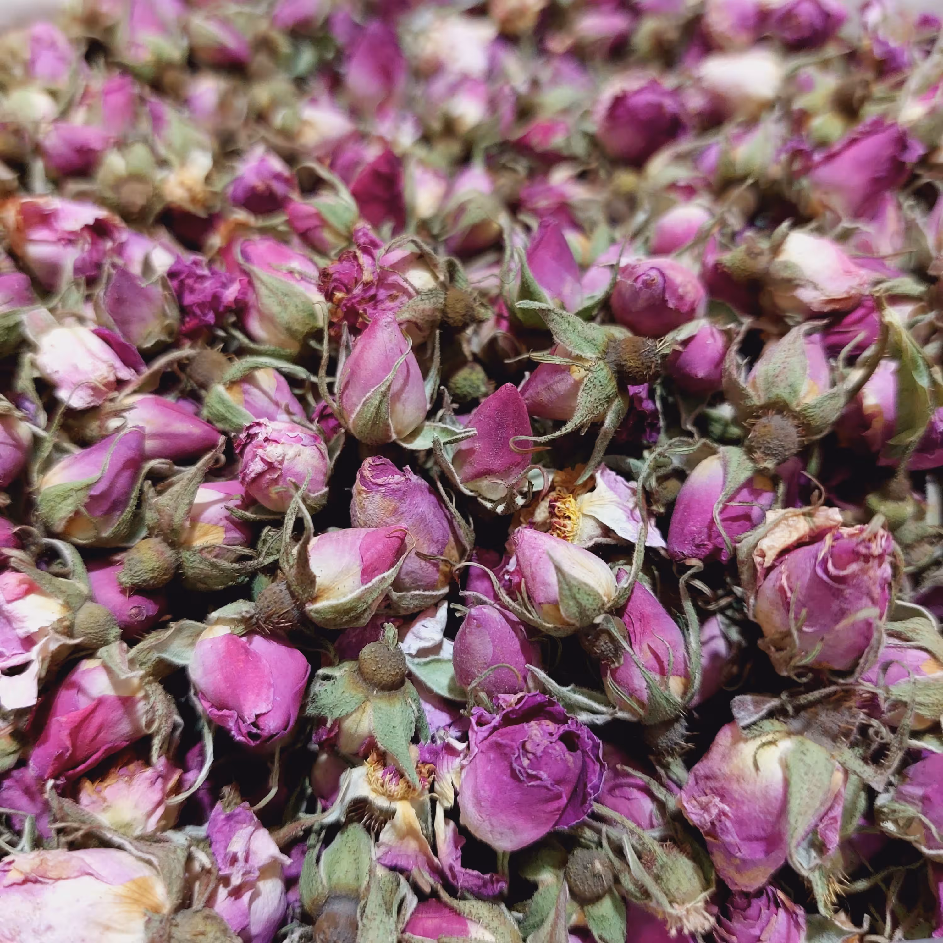 غنچه گل محمدی امساله (100گرمی)