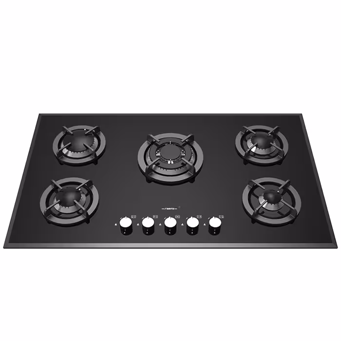 گاز صفحه ای رابیتس RG-543P