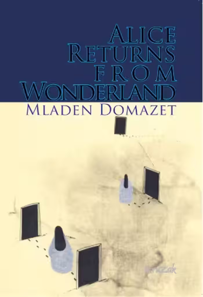 خرید و دانلود نسخه کامل کتاب Alice Returns From Wonderland: Ontological Frameworks for Explanation from Contemporary Quantum Theories