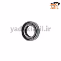 کاسه نمد کوچک پلوس پژو گلدن مگ