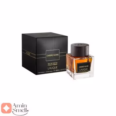 ادکلن مردانه امبر نویر لالیک | Lalique Ombre Noire