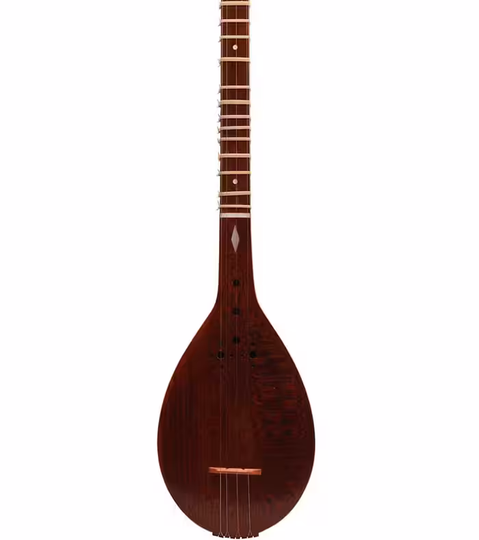 سه تار محمدی الگو هاشمی