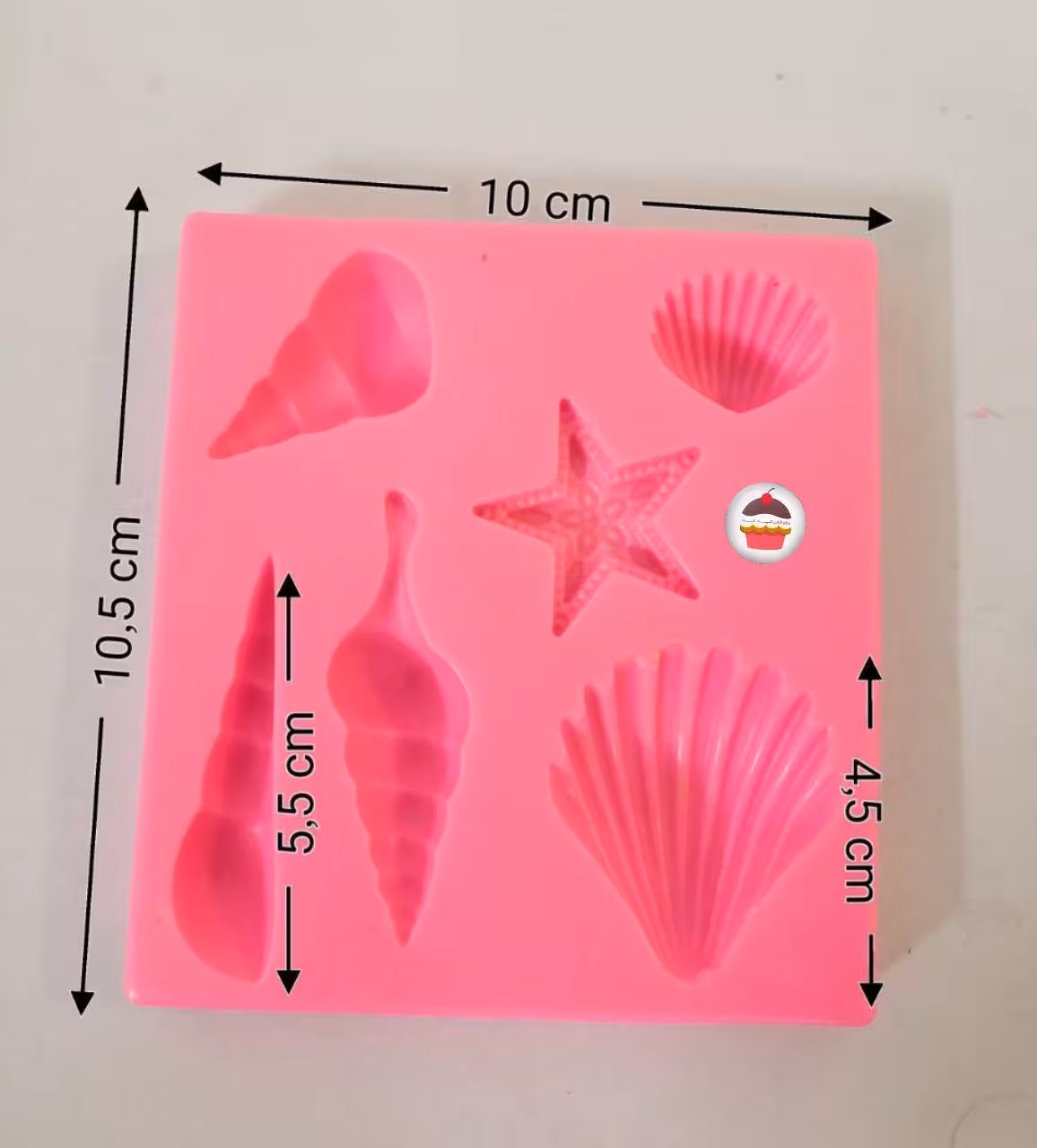 مولد صدف جور و ستاره