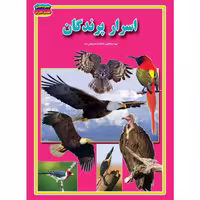 کتاب اسرار پرندگان نوشته فاطمه سروش راد انتشارات حباب