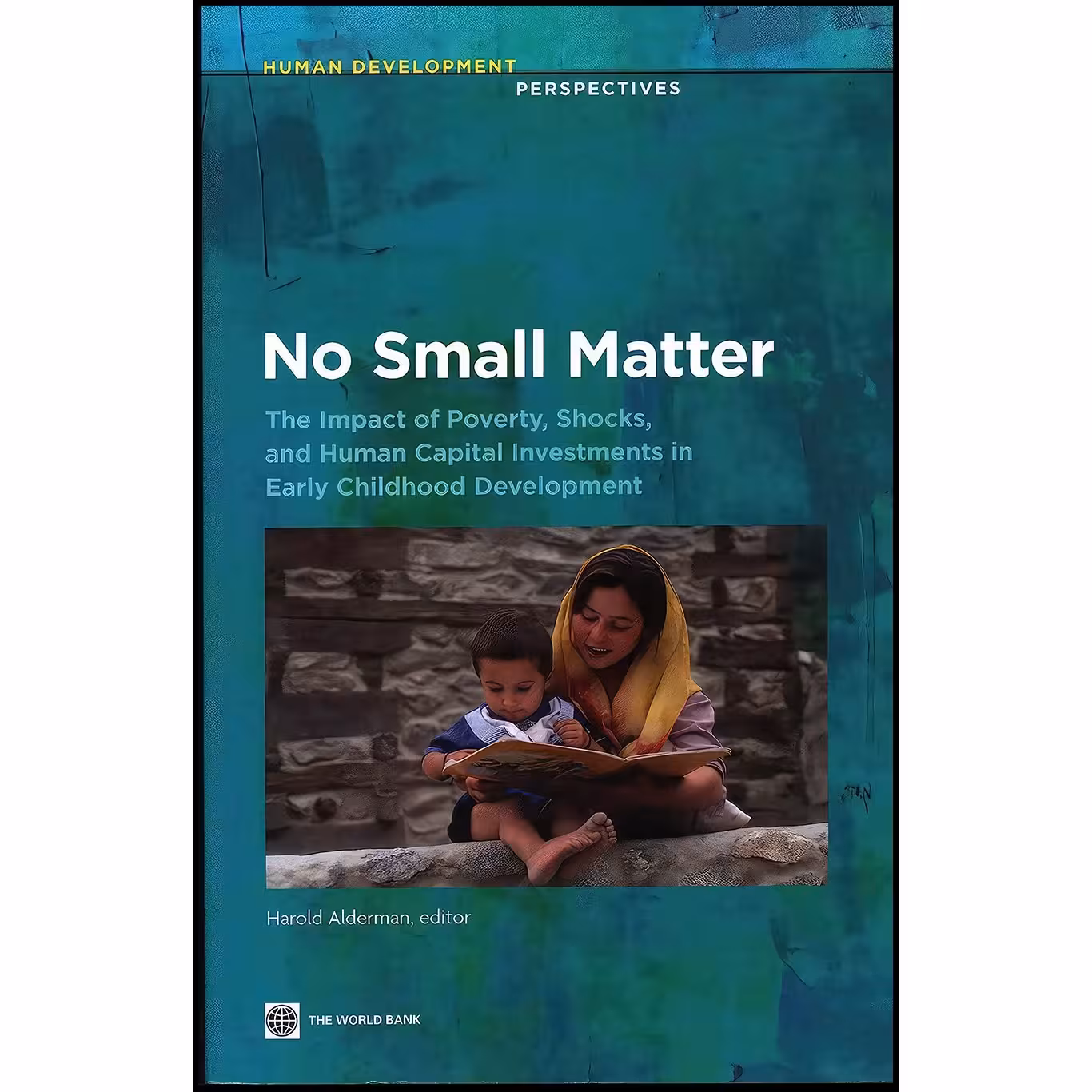 کتاب زبان اصلی No Small Matter اثر Harold Alderman