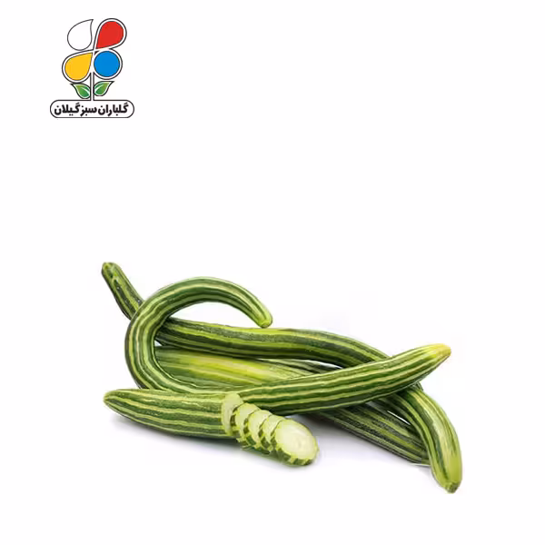 بذر خیار چنبر بسته بندی کوچک
