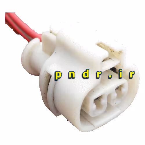 سوکت 2 فیش
