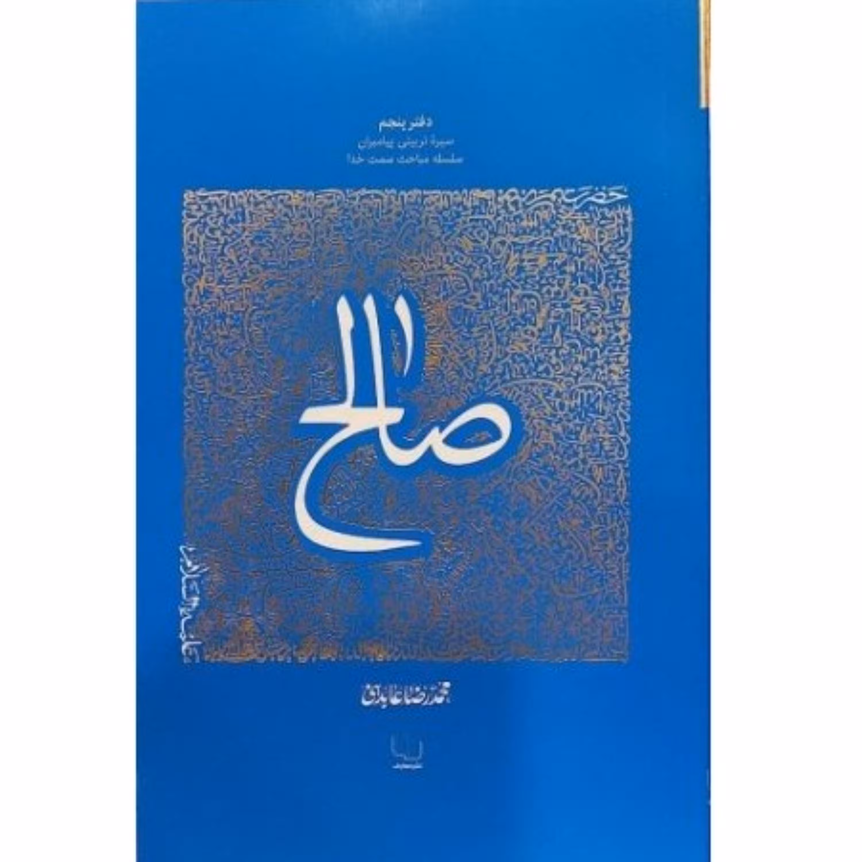 کتاب سیره تربیتی پیامبران دفتر پنجم حضرت صالح استاد محمدرضا عابدینی نشر معارف