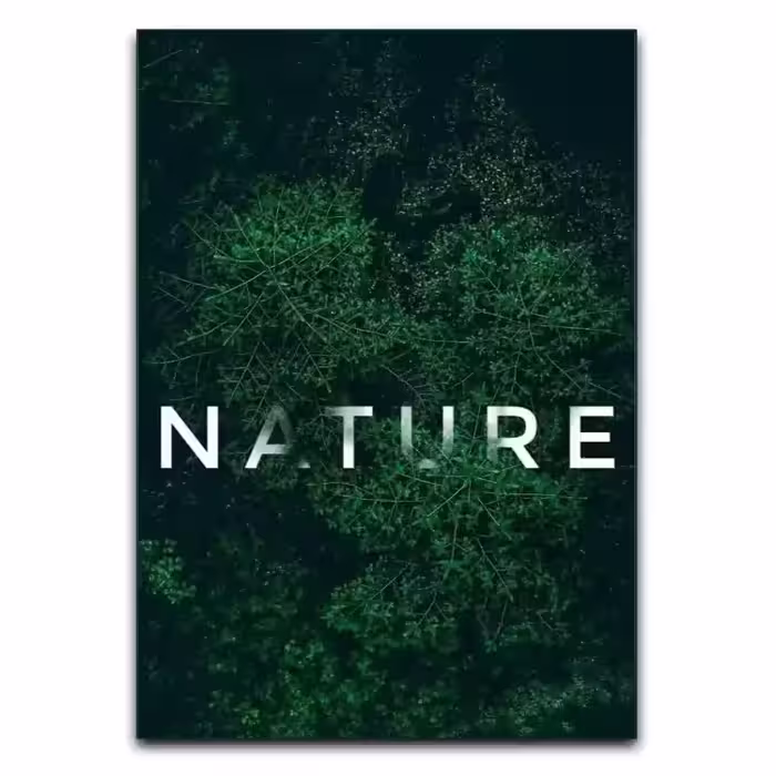 تابلو طبیعت Natural