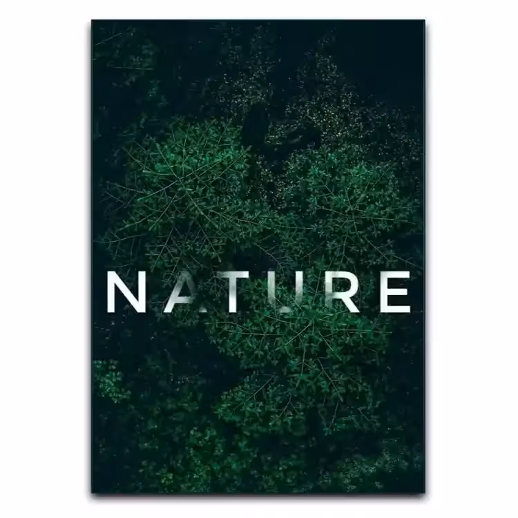تابلو طبیعت Natural