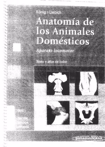 خرید و دانلود نسخه کامل کتاب Anatomía de los animales domésticos Tomo I: Aparato locomotor Texto y atlas en color
