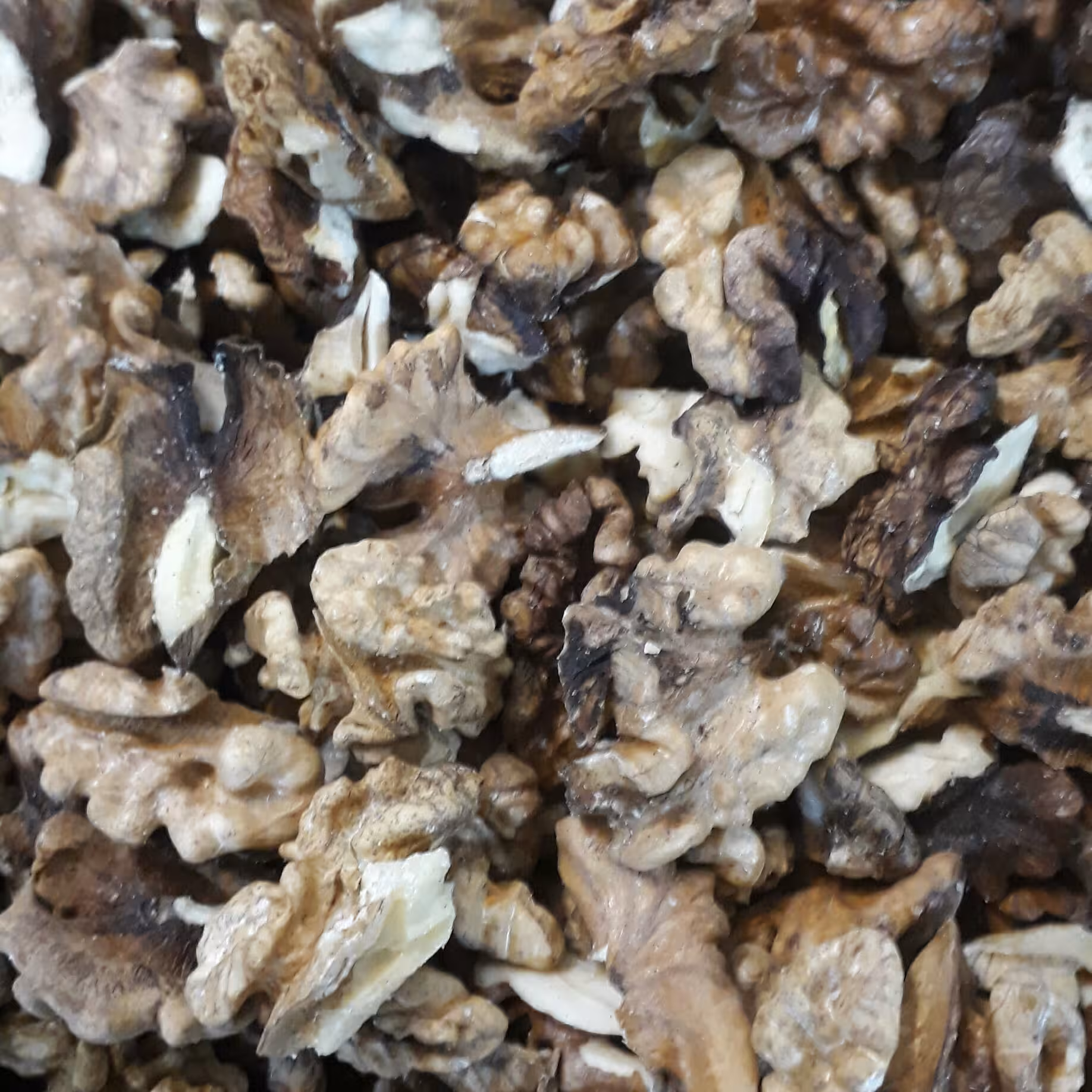 مغز گردو فسنجونی معمولی(یک کیلویی)