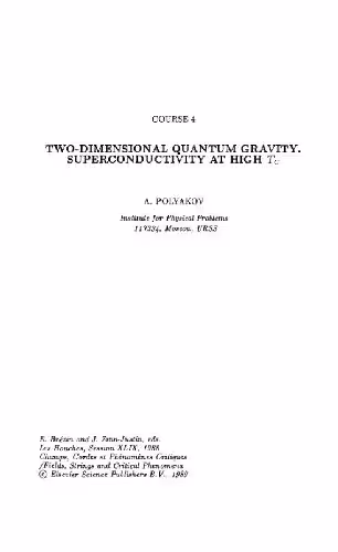 خرید و دانلود نسخه کامل کتاب 2D Quantum Gravity and SC at high Tc
