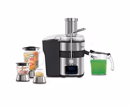 آبمیوه‌گیری 4 کاره دلمونتی DL740