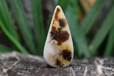 عقیق شجر هند