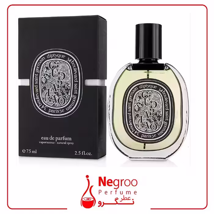 عطر ادکلن دیپتیک عود پالائو 25 میل برند کالکشن کد 319