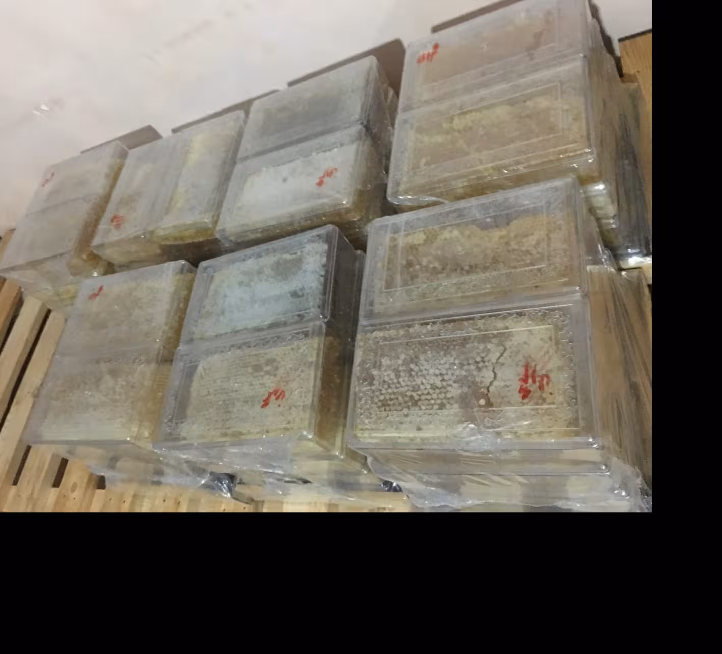 عسل ارگانیک کوهستان با مومِ طبیعی در ظروف کریستالی.فروش با قیمت استثنایی (بیست کیلو گرم)