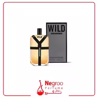عطر ادکلن دسکوارد وایلد 100 میل