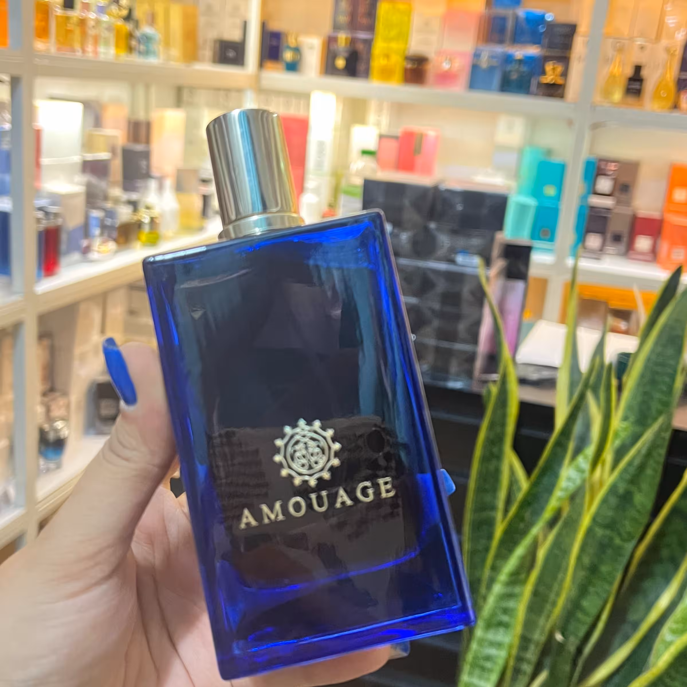 ادکلن آمواج اینتر لود تستر