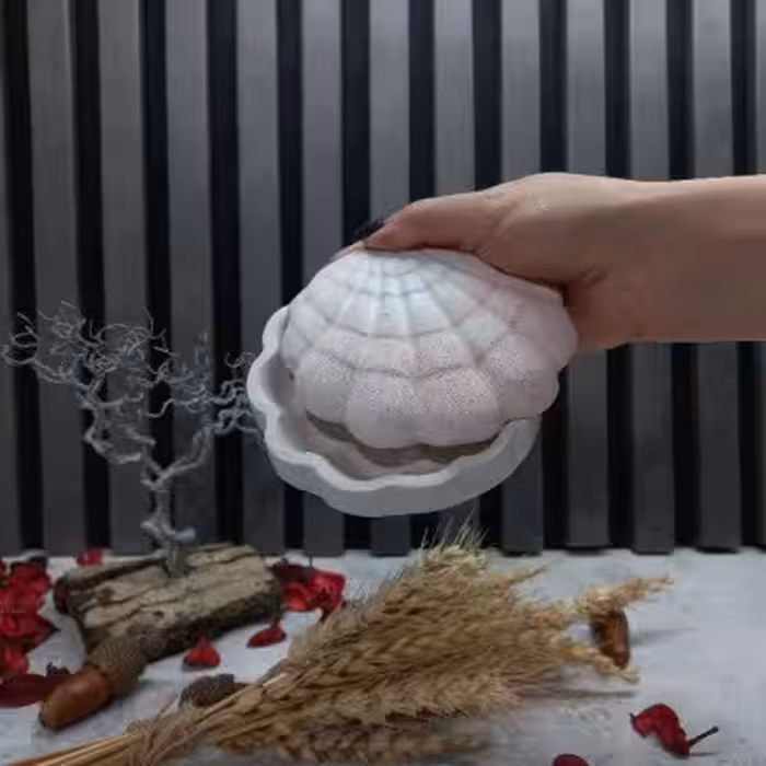 ظرف زیورآلات صدفی