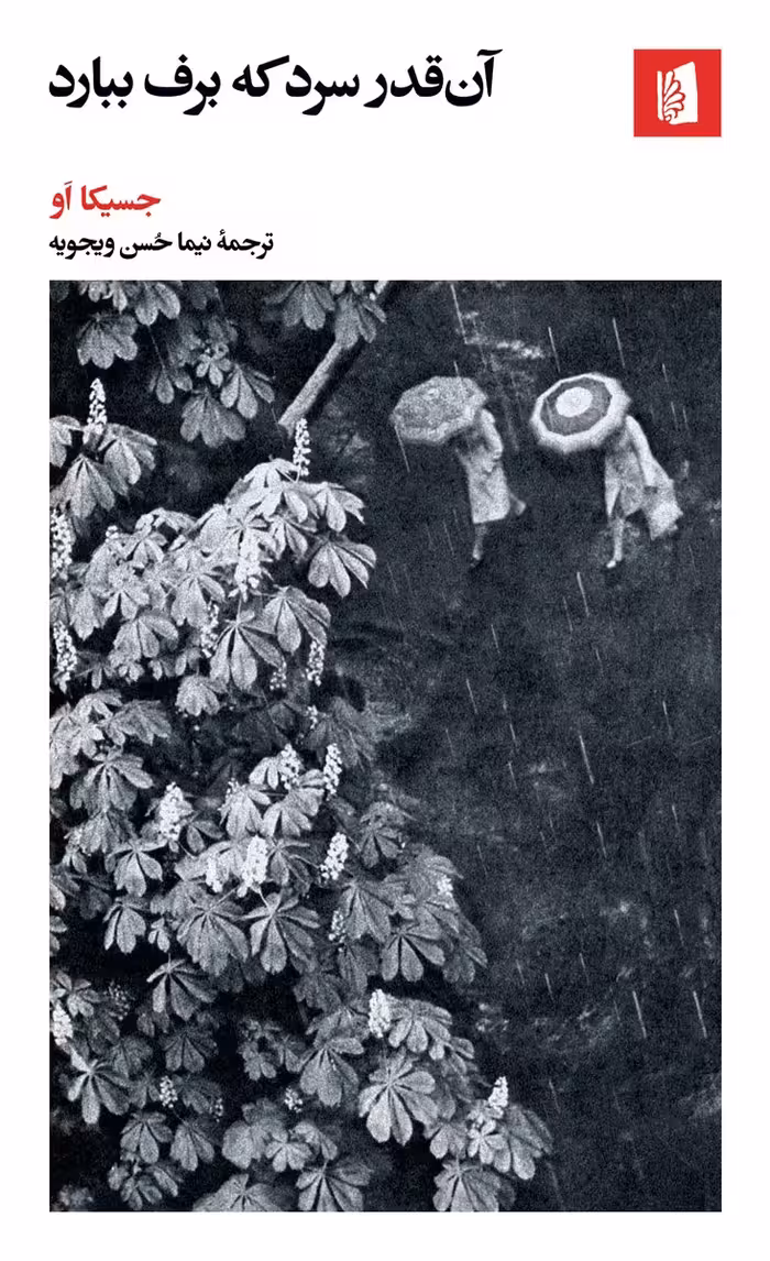 کتاب آن قدر سرد که برف ببارد