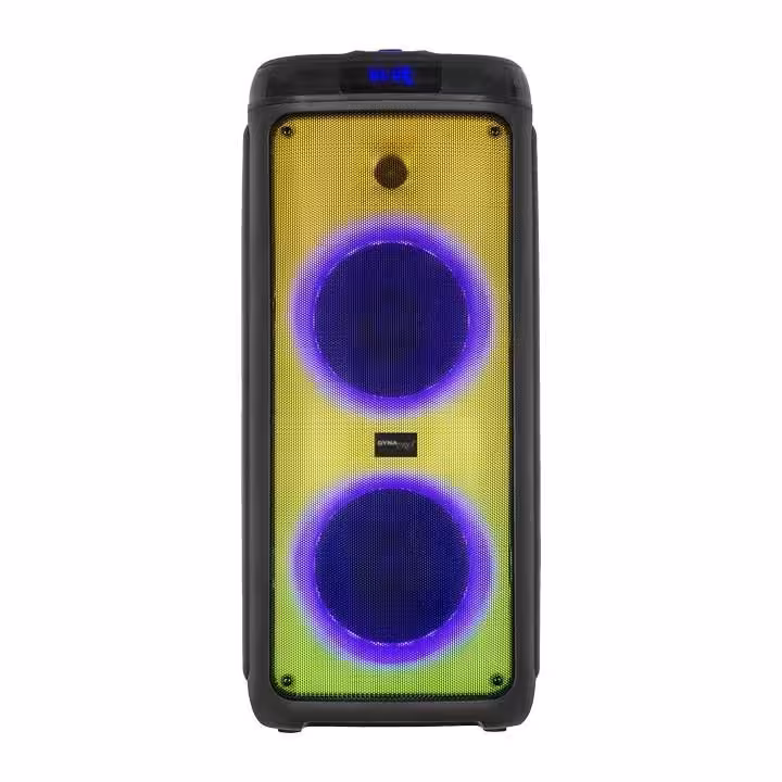 قیمت و خرید اسپیکر داینا پرو D8500