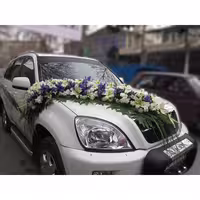 ماشین عروس طرح بتی