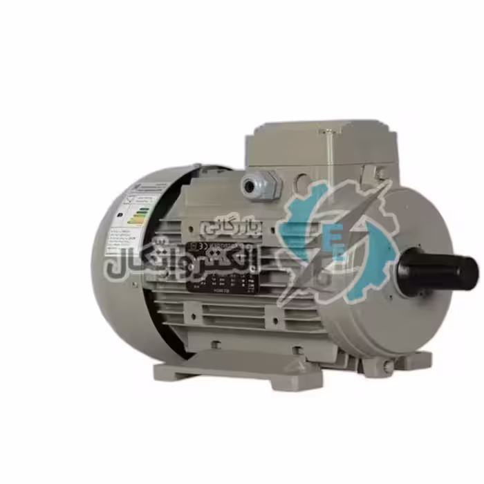 الکتروموتور 15 کیلووات 20 اسب سه فاز 3000 دور الکتروژن ا ELECTROGEN 3 phase Electric Motor 20 HP 15 KW