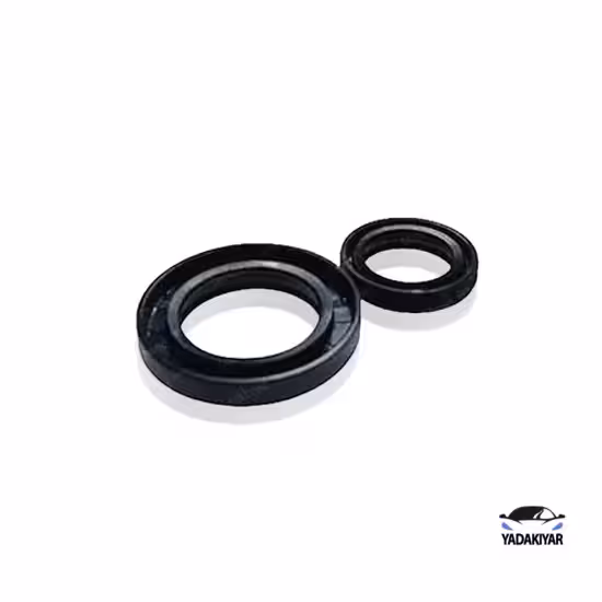 کاسه نمد شیر فرمان 405 – ویژن