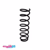 فنر لول عقب راست ام وی ام 110