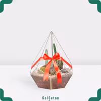 تراریوم کاکتوس الماس کد S12