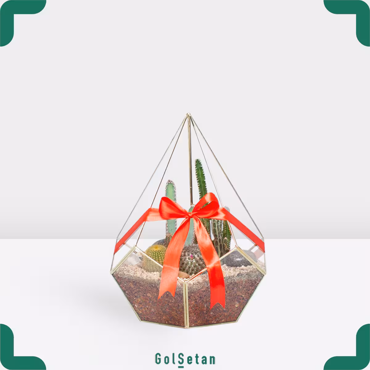 تراریوم کاکتوس الماس کد S12