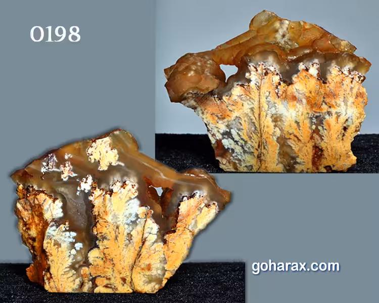 سنگ زینتی عقیق شجر عسلی