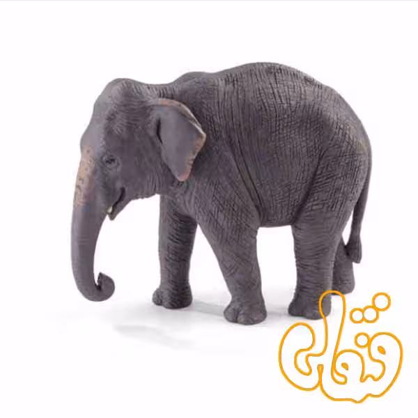 فیل آسیایی Indian Elephant 387266