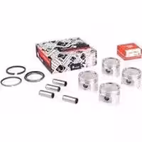 3107407 پیستون تیبا STD-S81 با ملحقات کامل با رینگ TP عظام EZAM