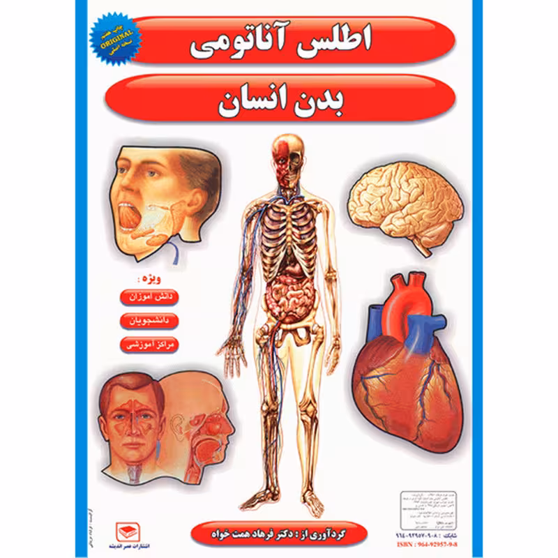 پوستر طرح اطلس آناتومی بدن انسان مجموعه 15 عددی