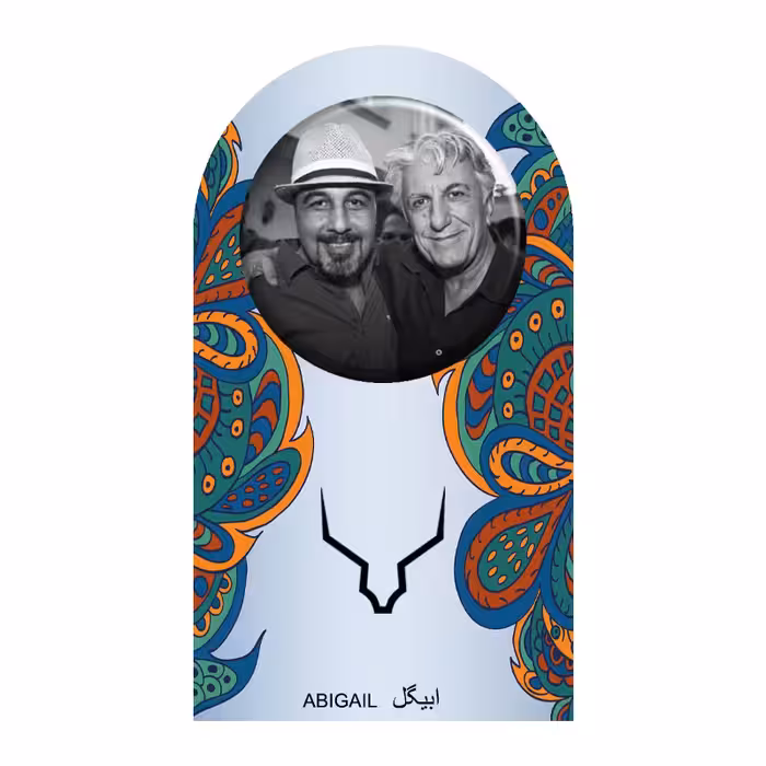 پیکسل ابیگل طرح رضا عطاران و رضا کیانیان کد 004