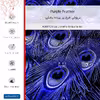 برچسب پوششی ماهوت مدل Purple Feather-FullSkin مناسب برای گوشی موبایل شیائومی Redmi 9T