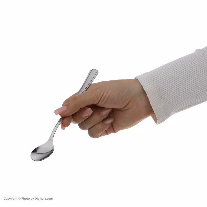 قاشق شربت خوری صنایع استیل ایران مدل مونزا بسته 6 عددی