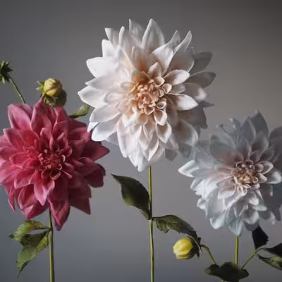 سیلیکون قالب گیری به گز مدل برگ گل کوکب مجموعه 4 عددی